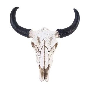 Steer Skull Wall Decor